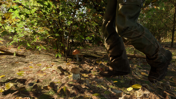 Forest Doesn’t Care