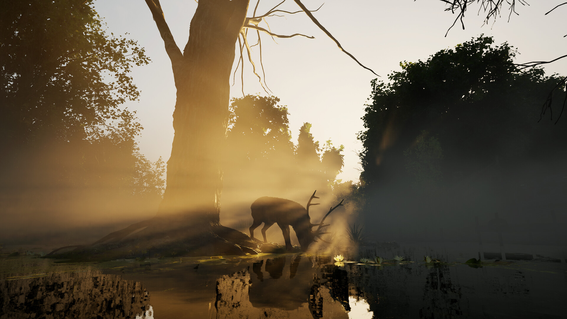 Forest Doesn’t Care screenshot 12