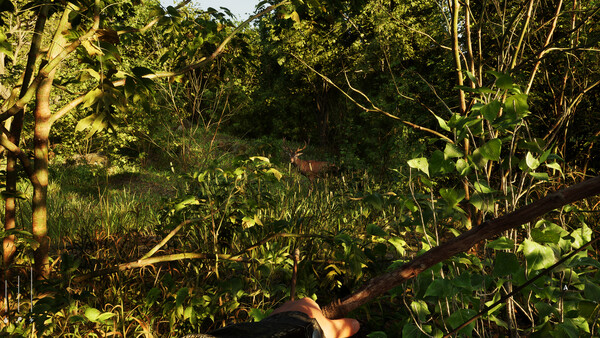 Forest Doesn’t Care.