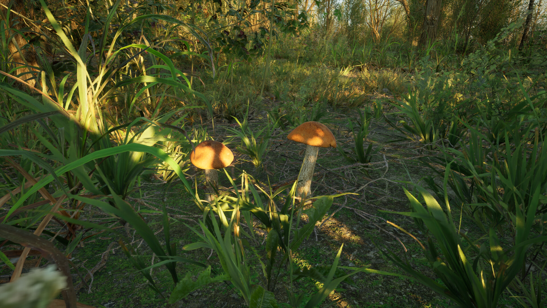 Forest Doesn’t Care screenshot 2