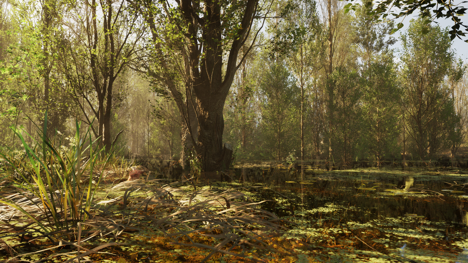 Forest Doesn’t Care screenshot 14