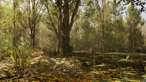 Forest Doesn’t Care.