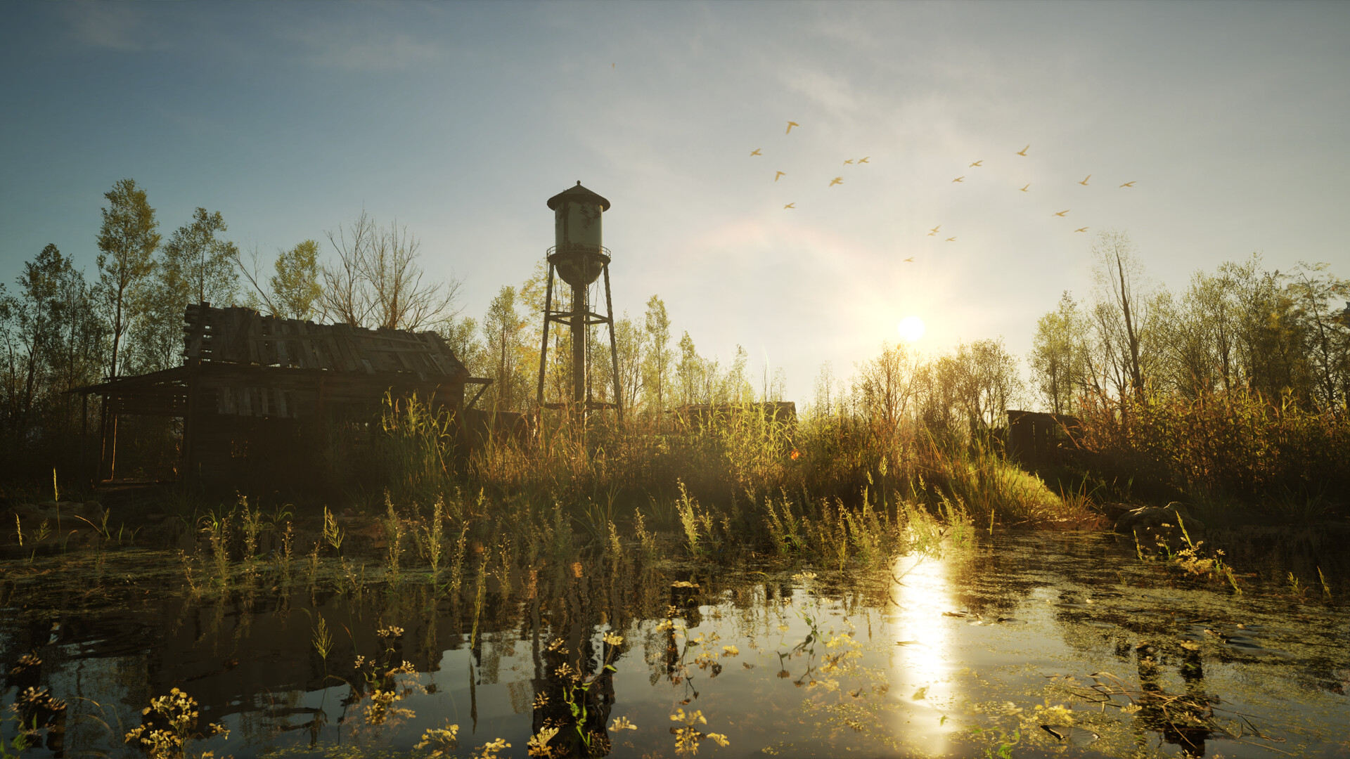Forest Doesn’t Care screenshot 7