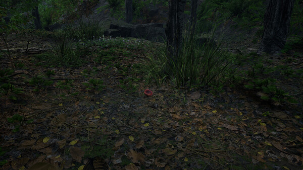 Forest Doesn’t Care.