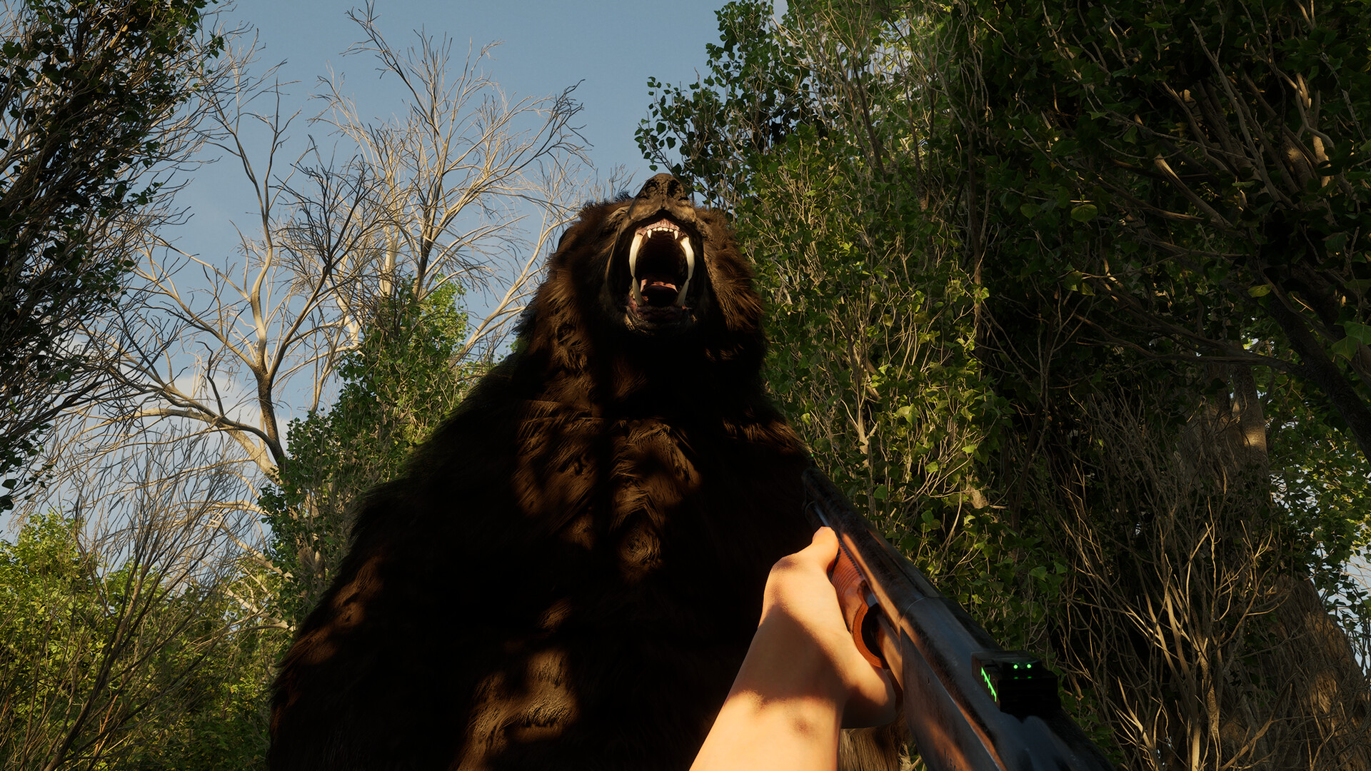 Forest Doesn’t Care screenshot #5