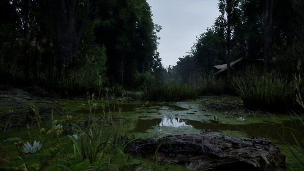 Forest Doesn’t Care.