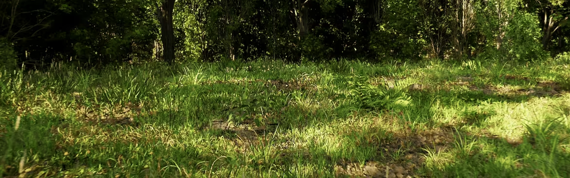 Forest Doesn’t Care video 2