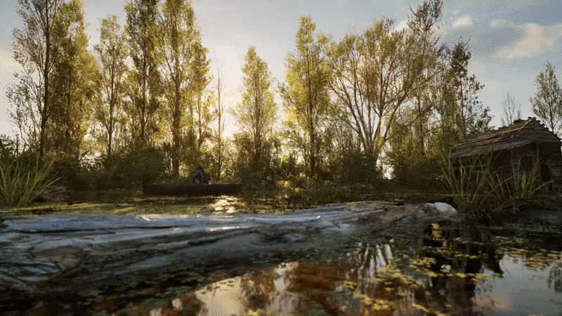Forest Doesn’t Care video 5