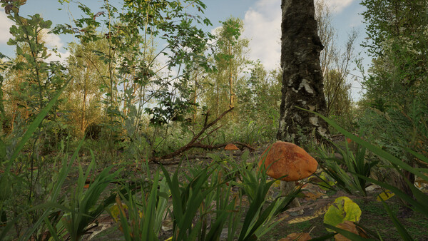 Forest Doesn’t Care screenshot 3