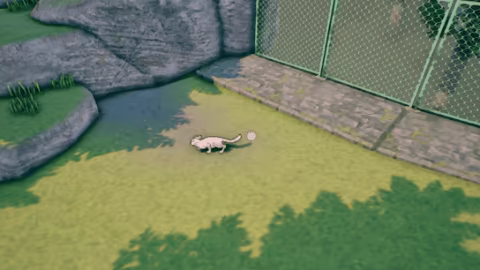 Rural Cat Trails video 2