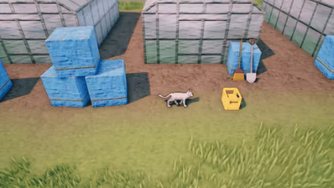 Rural Cat Trails video 3