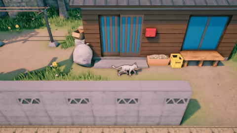 Rural Cat Trails video 1