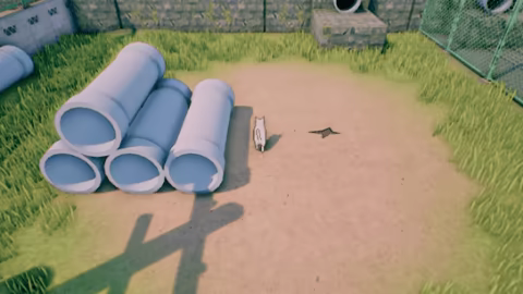Rural Cat Trails video 4