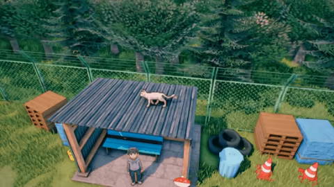 Rural Cat Trails video 6