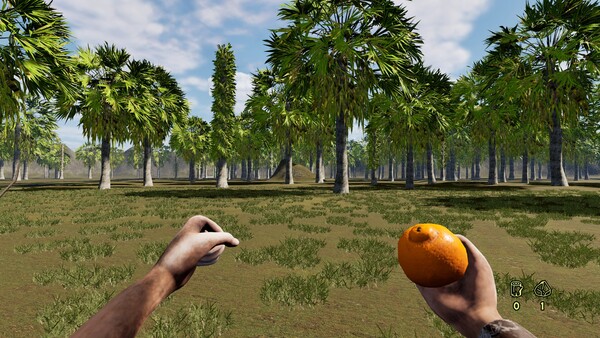 Pau e Pedra - Orange