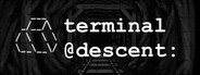 Terminal Descent