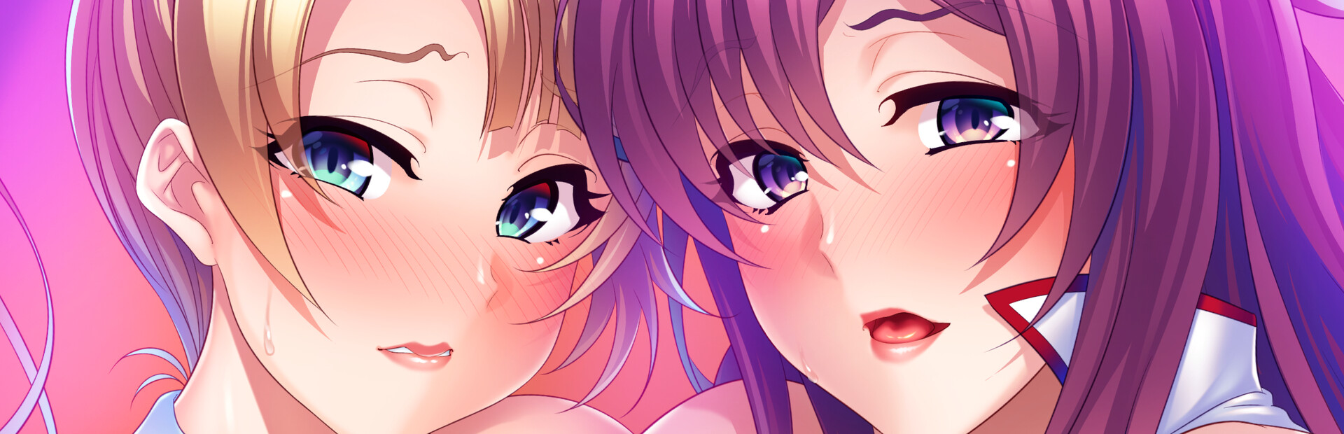 Netori Knights
