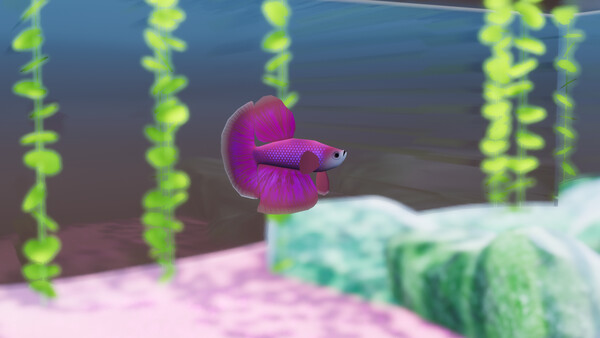 Fish Game - Betta Fish Pack 1