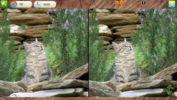 Скриншот из Peaceful Gardens 2: Cute Cats