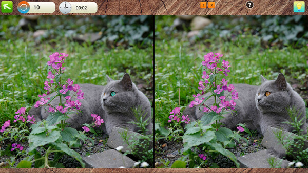 Скриншот из Peaceful Gardens 2: Cute Cats