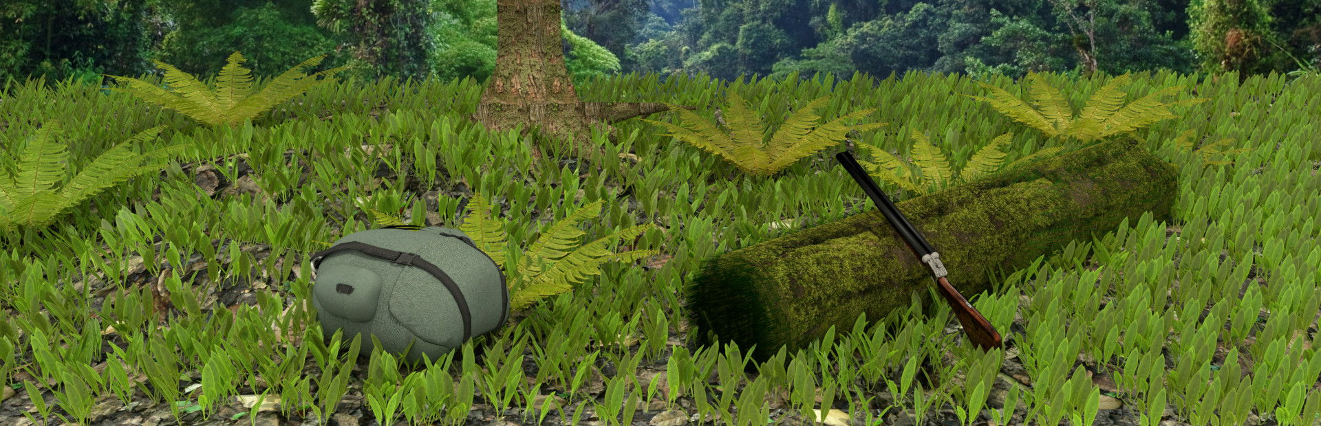 Wild Island Quest