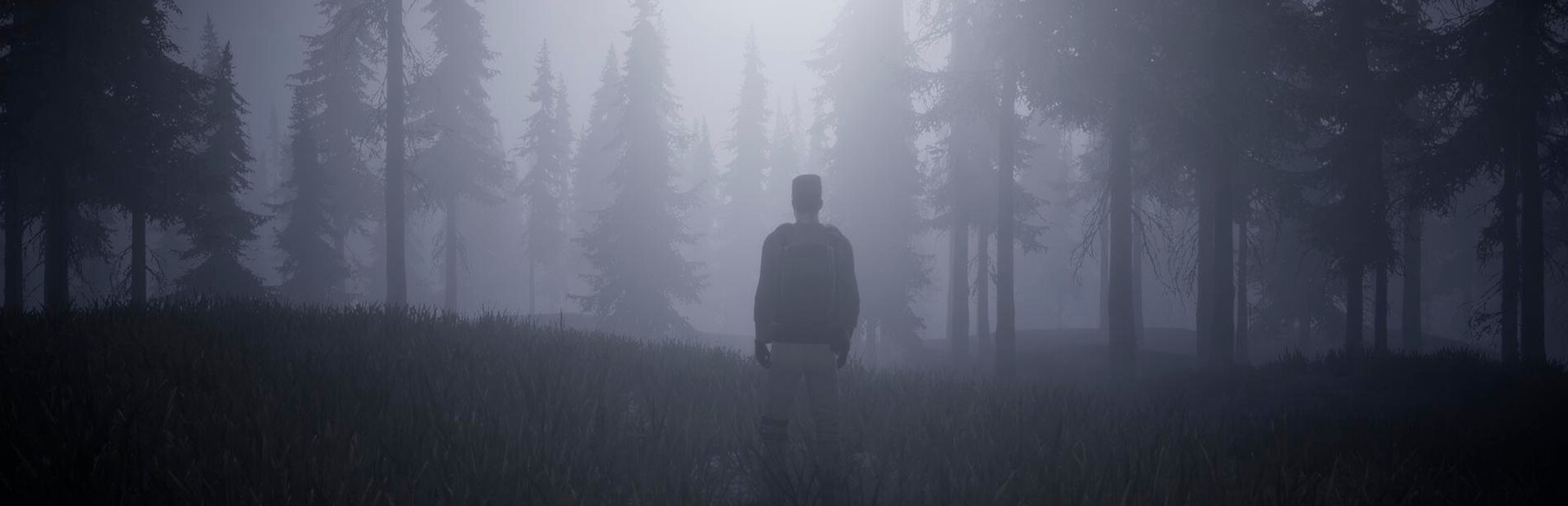 Horror in the forest