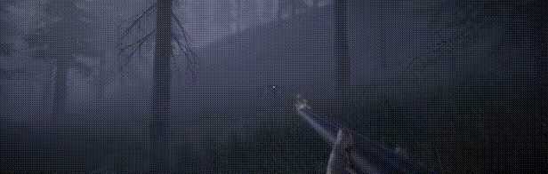 Horror in the forest video 1