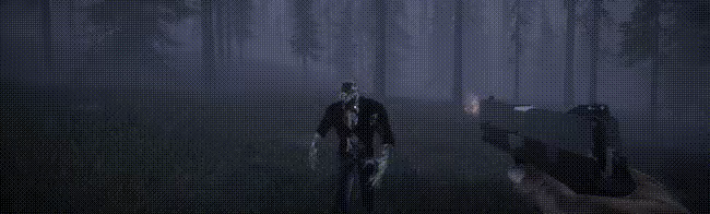 Horror in the forest video 2