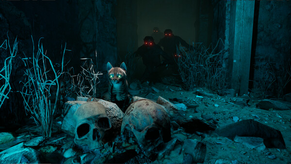 Movie cover image