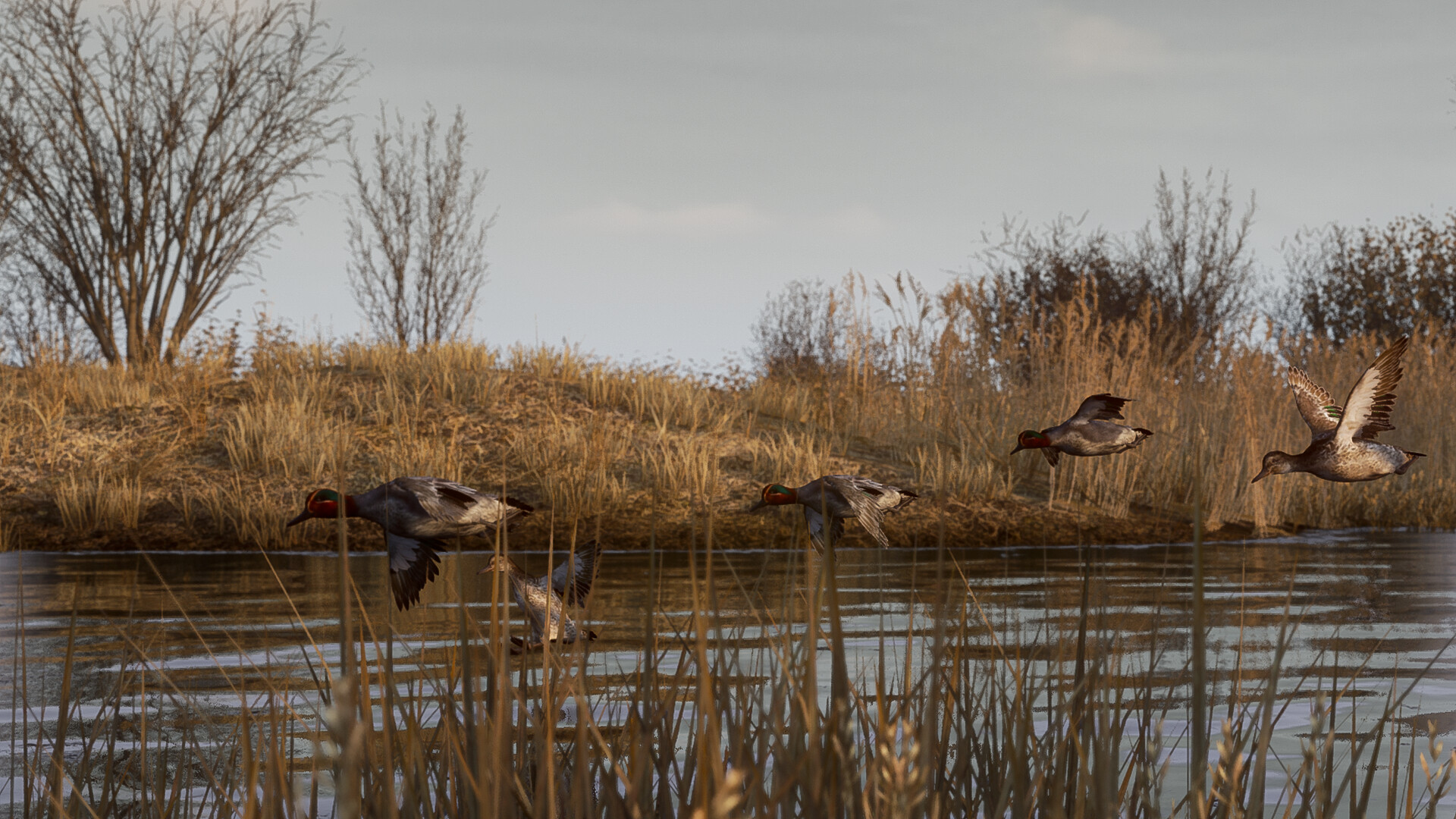 BULT: Hunting simulator screenshot #1