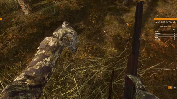 BULT: Hunting simulator — 13