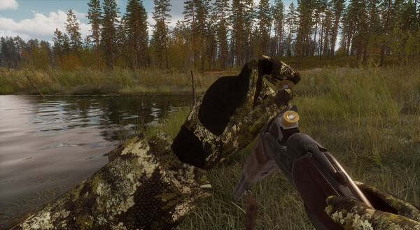 BULT: Hunting simulator