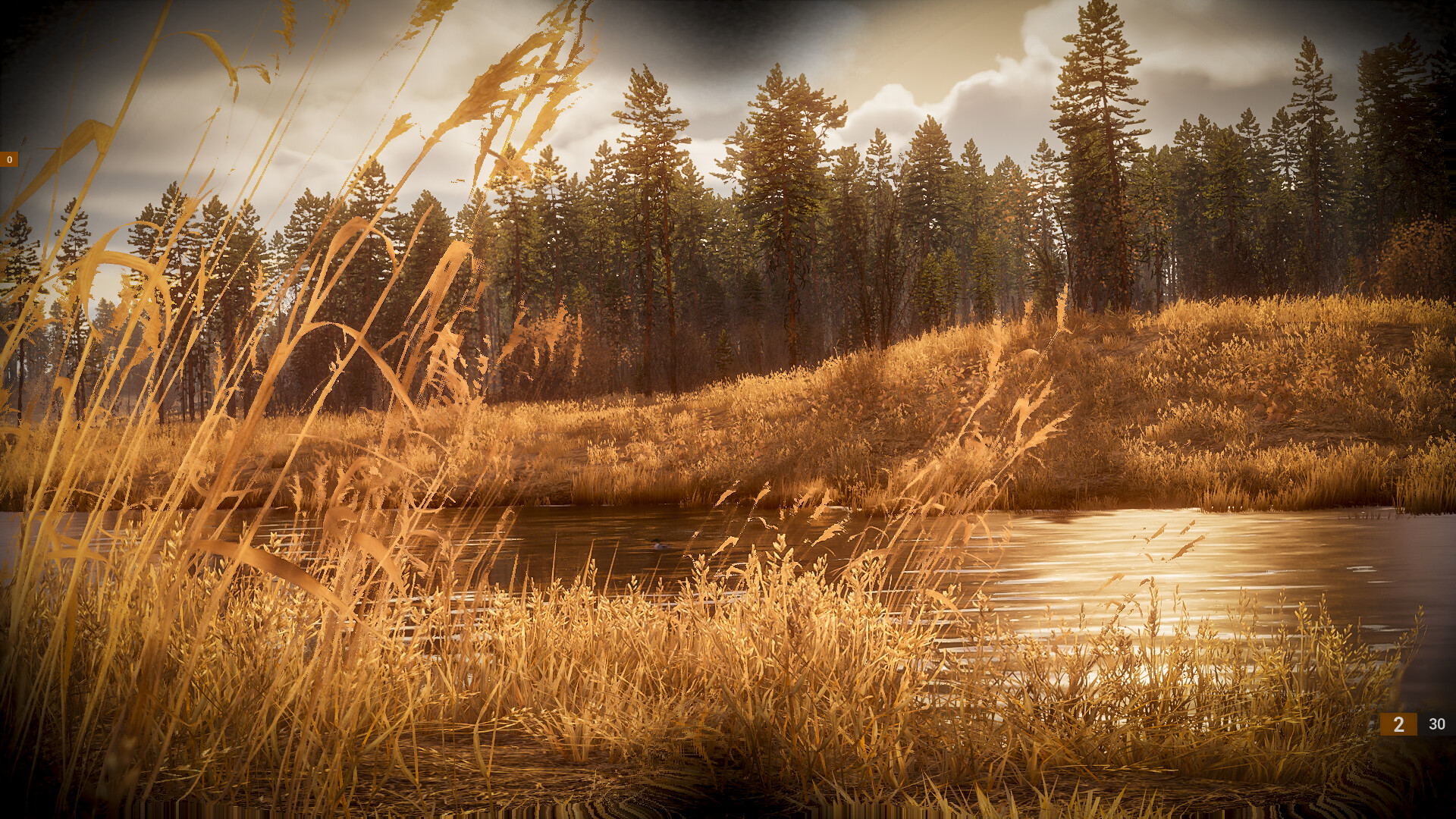 BULT: Hunting simulator screenshot #1