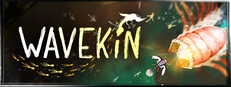 Wavekin