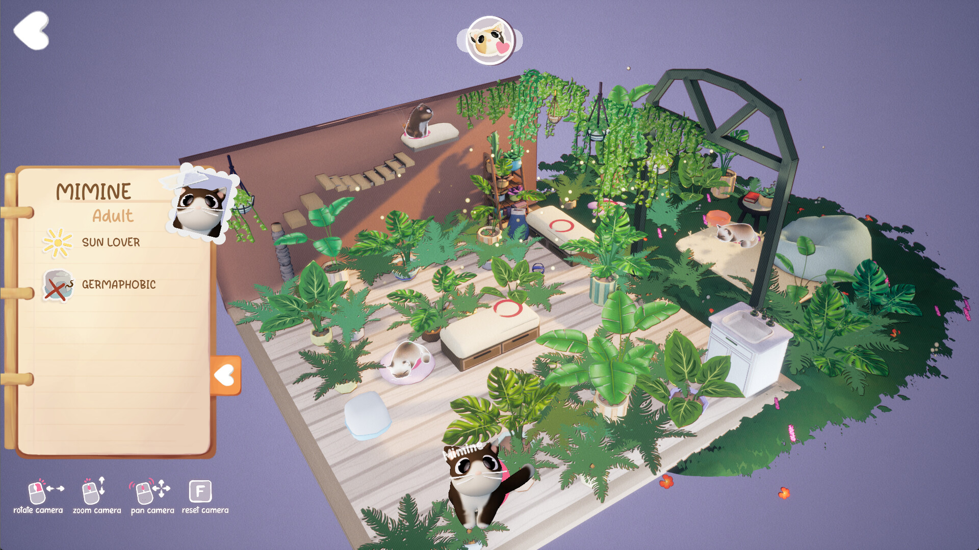 Kitty Haven screenshot 4