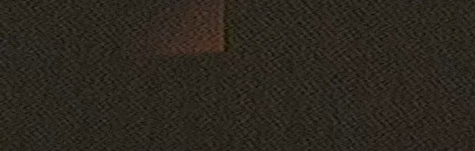 ENTRY_13 video 2