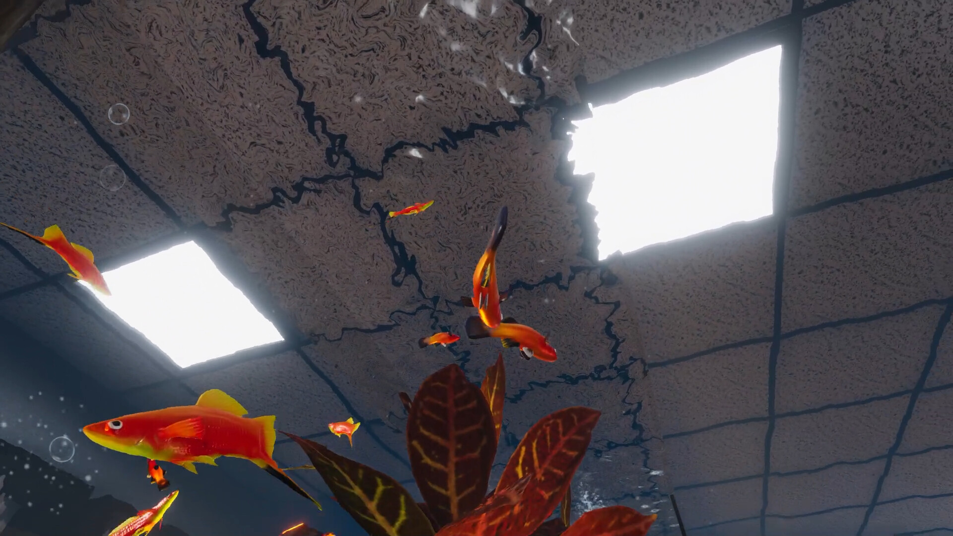 Aquarist - American Fish DLC Screenshot Thumbnail 9