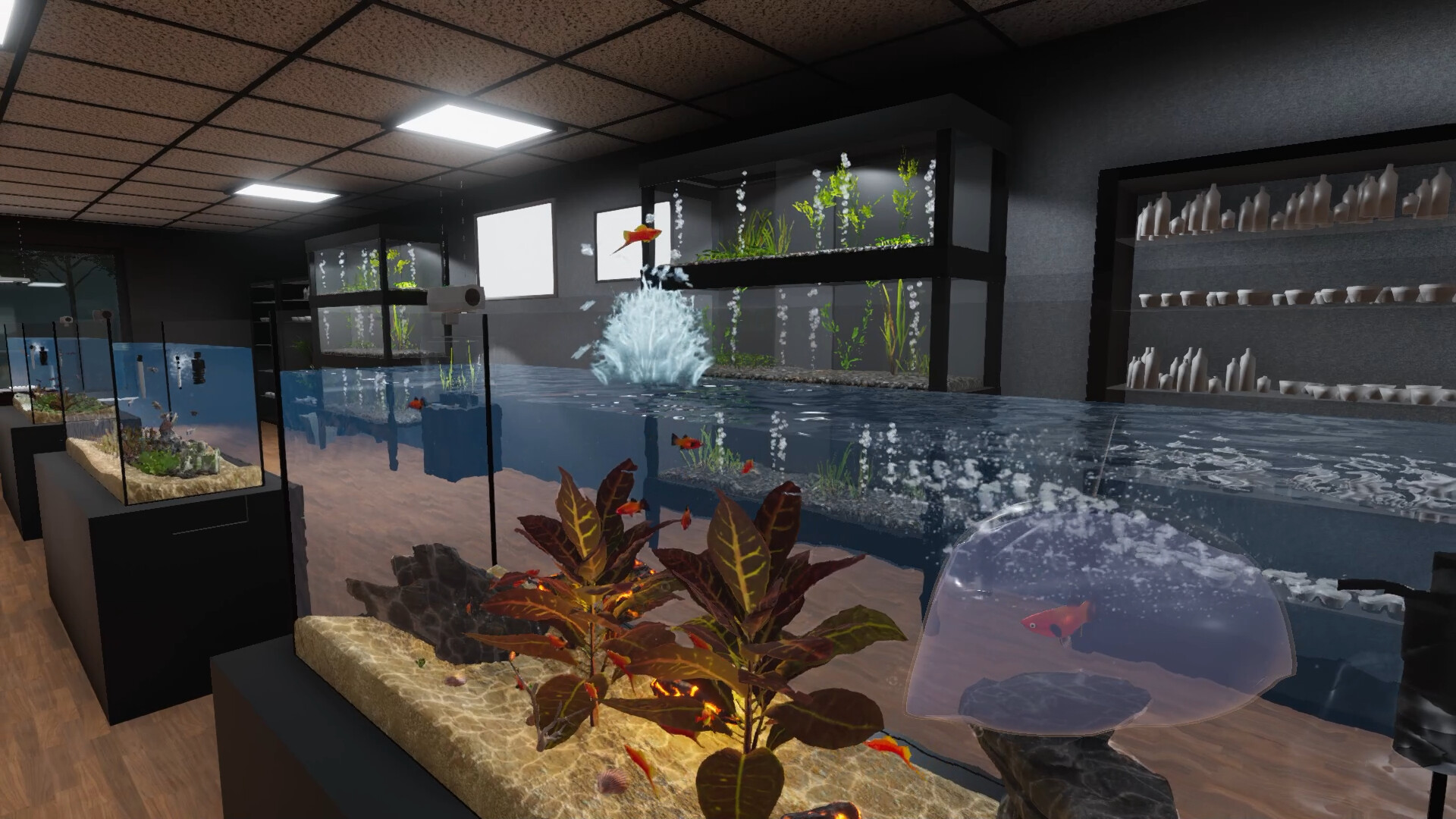 Aquarist - American Fish DLC Screenshot Thumbnail 10