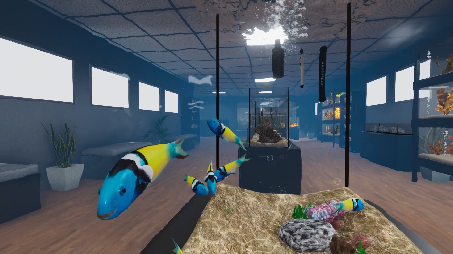 Aquarist - American Fish DLC Screenshot Thumbnail 3