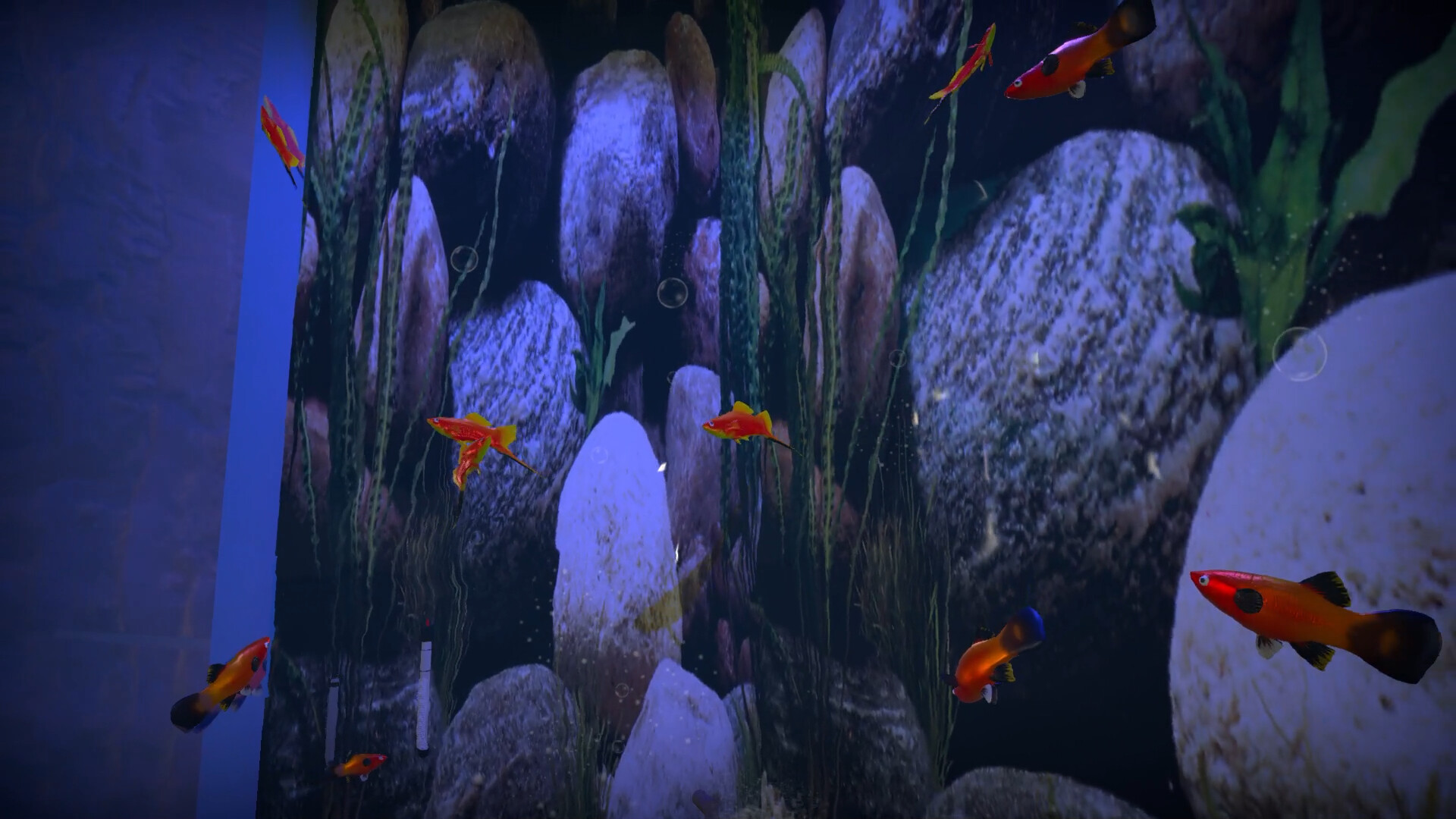 Aquarist - American Fish DLC Screenshot Thumbnail 12