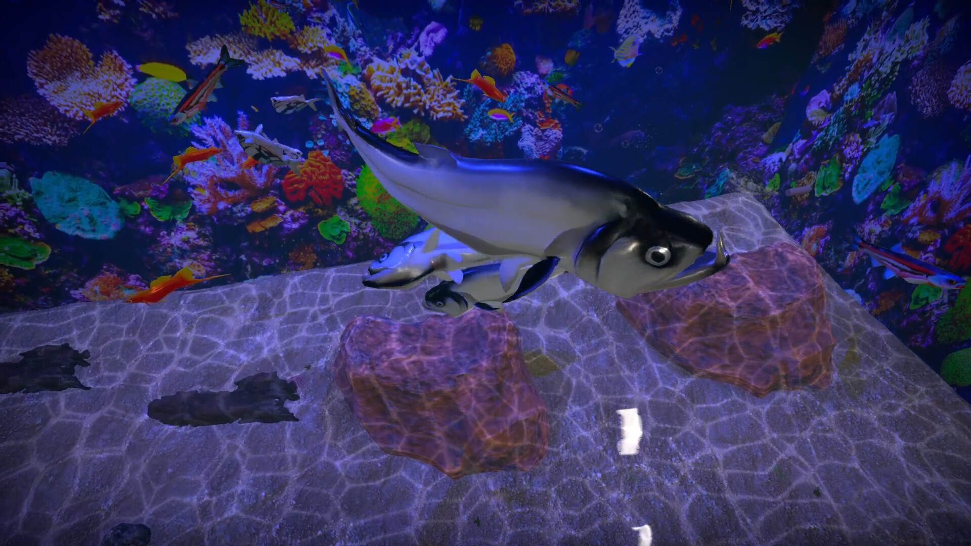 Aquarist - American Fish DLC Screenshot Thumbnail 6