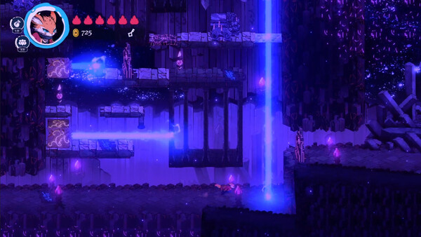Torii screenshot 2