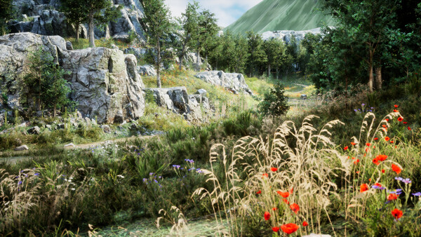 Steam Image