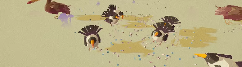 Birdteeth video 3