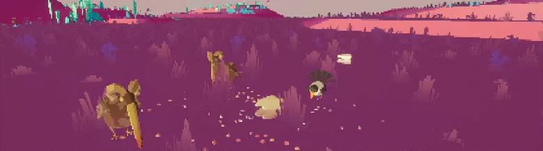 Birdteeth video 4