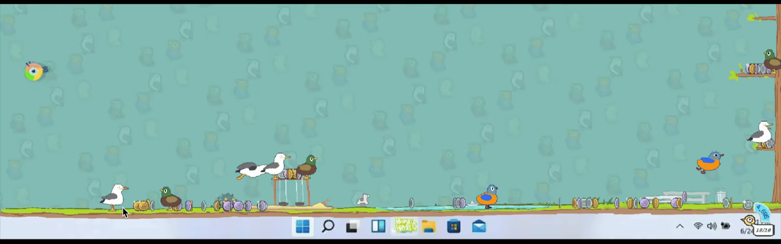 Birza video 2