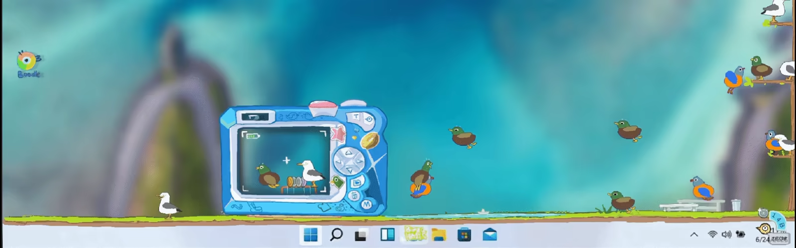 Birza video 6