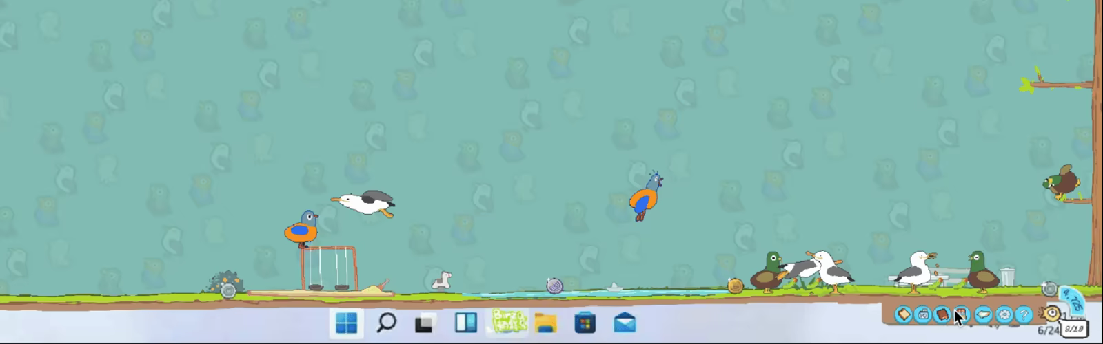 Birza video 5