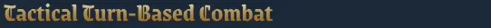 Tactical Turn-Based Combat