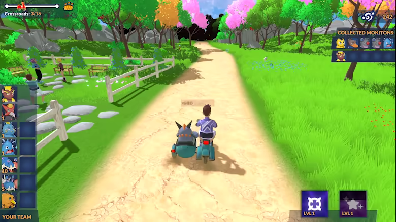 Path to Tamer Town video 8